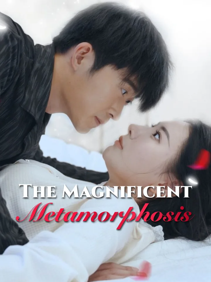 The Magnificent Metamorphosis