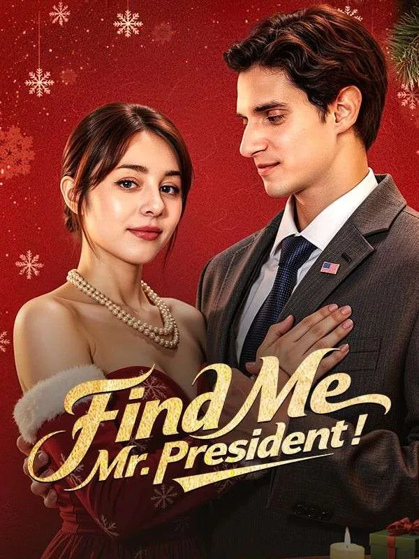 Find Me, Mr. President！