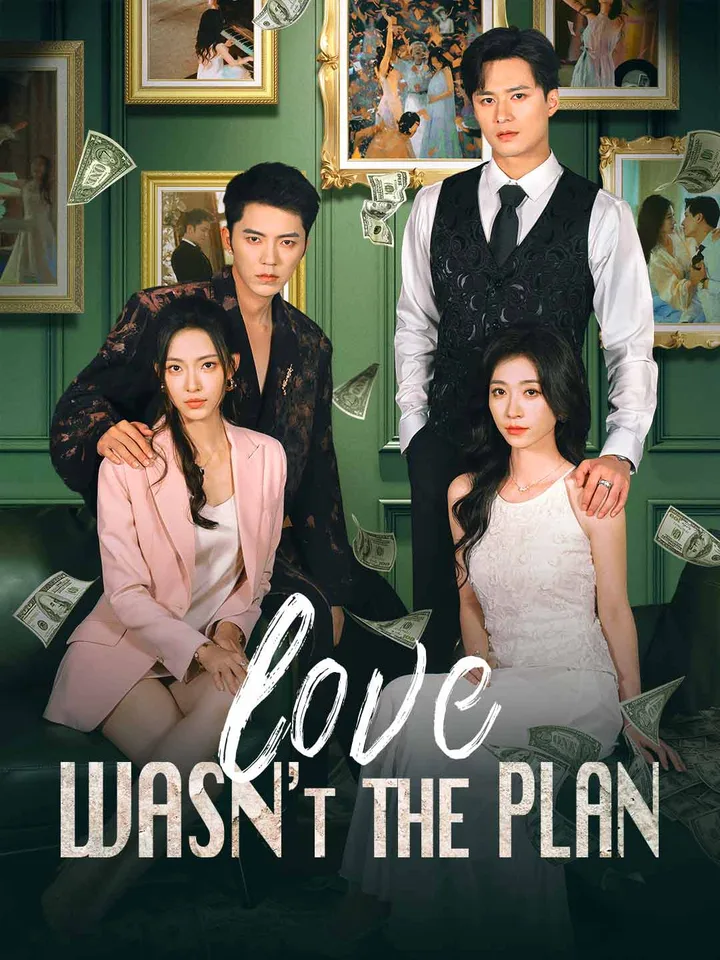 Love Wasn't the Plan