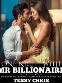 One Night With Mr Billionaire