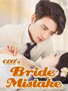 CEO's Bride Mistake