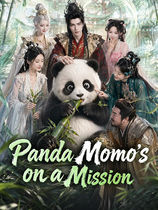 Panda Momo's on a Mission